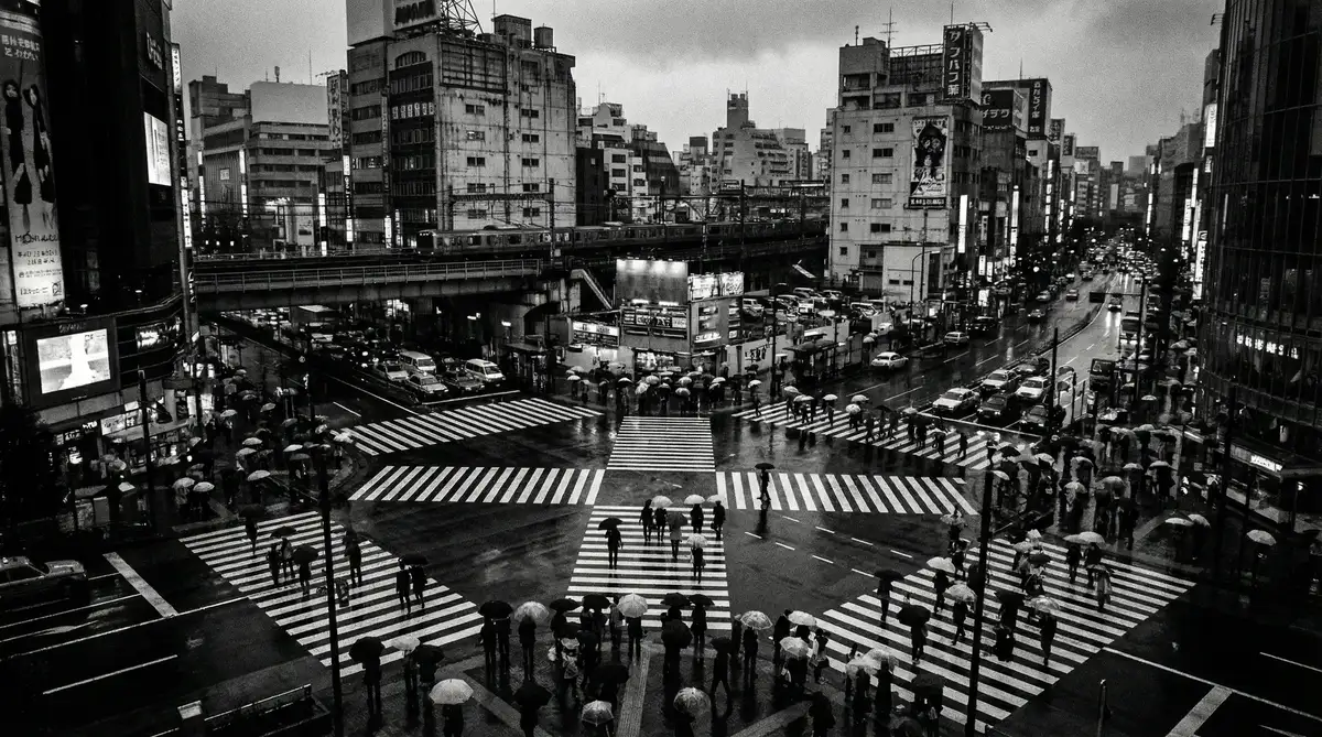 雨夜城市十字路口行人穿行的高空俯拍纪实影像